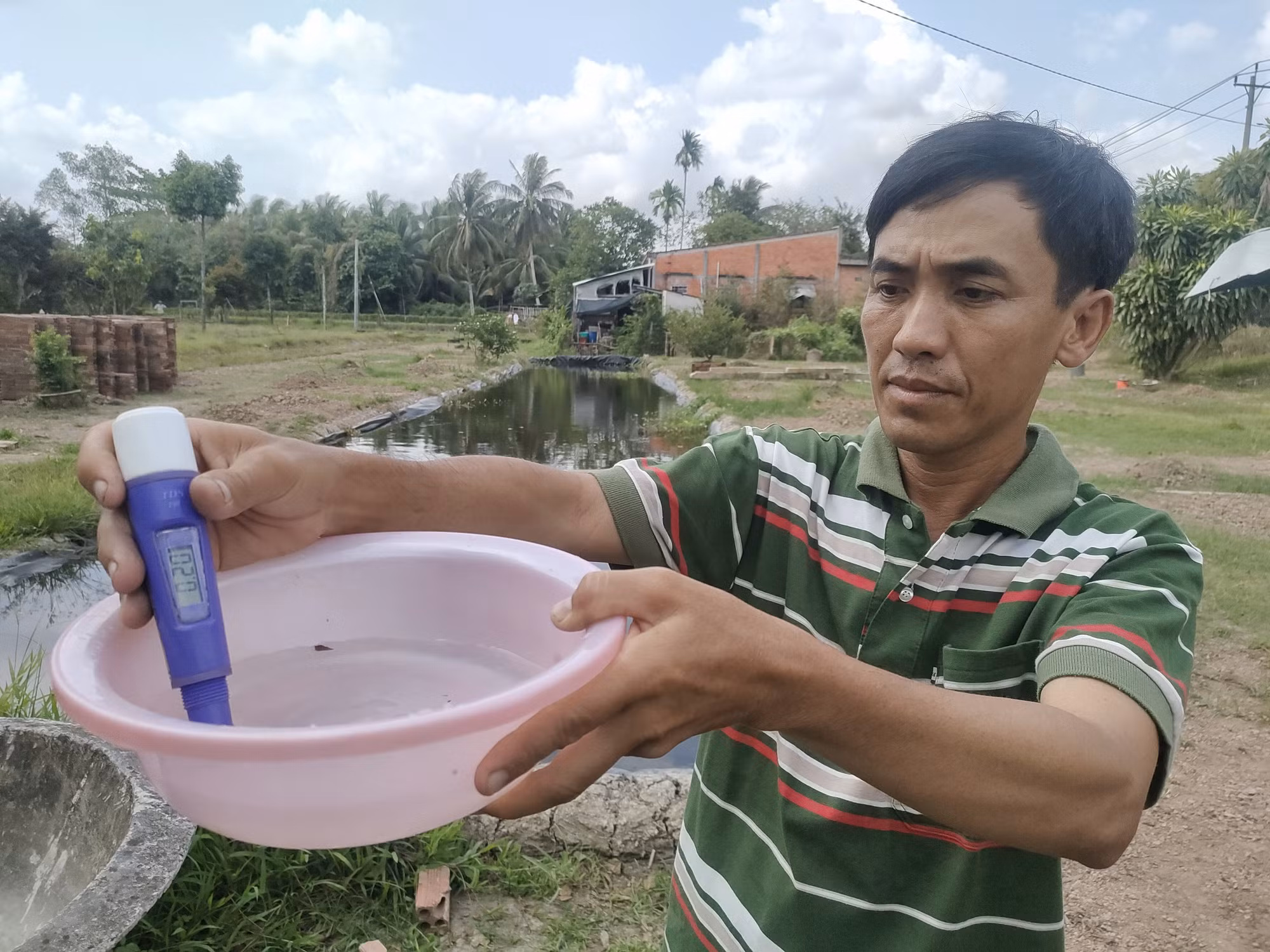 potal-nong-dan-ben-tre-don-tet-khong-quen-ung-pho-han-man-7832880.jpg