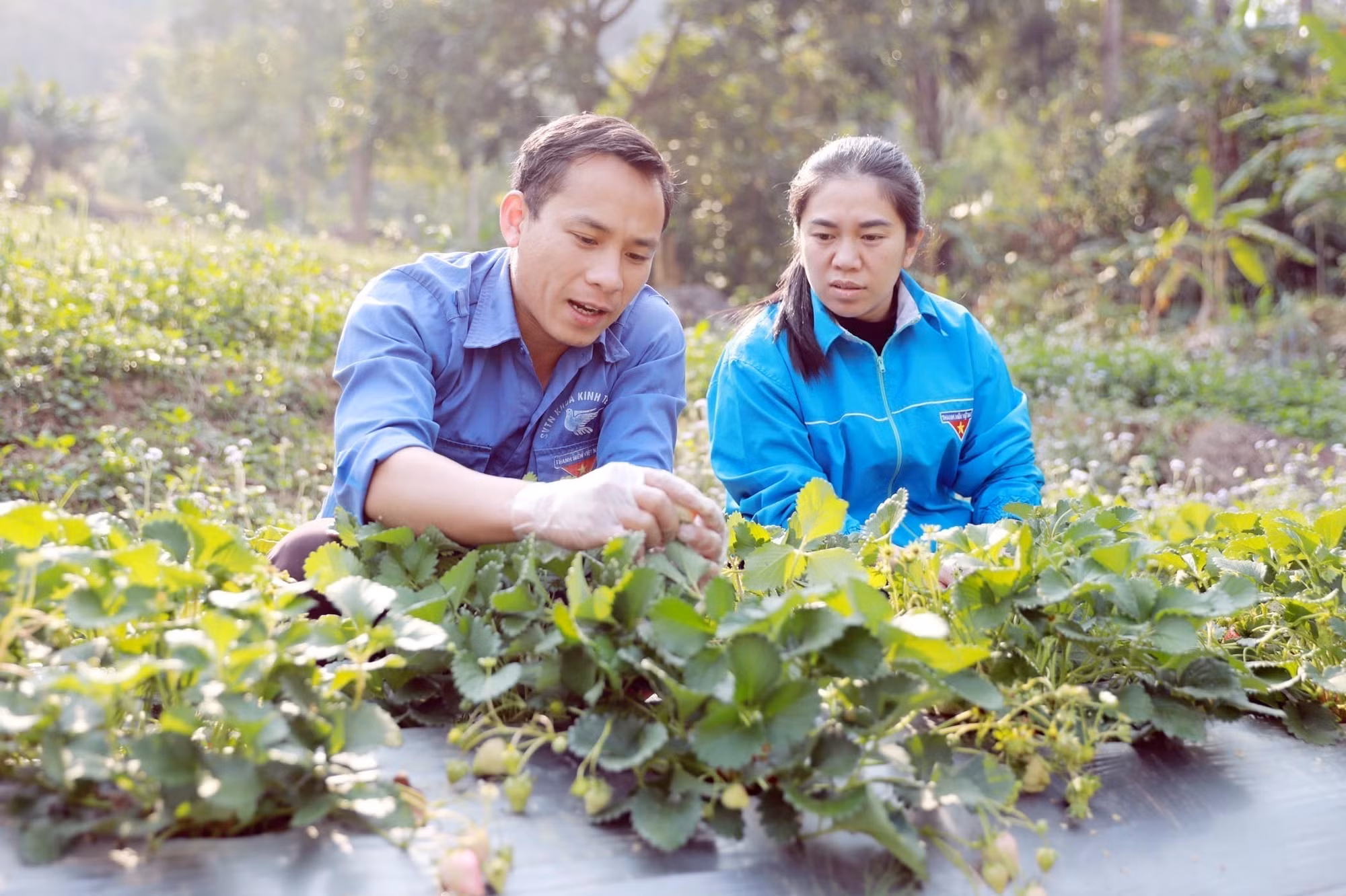potal-lai-chau-guong-dang-vien-tre-tien-phong-lam-kinh-te-gioi-7912296.jpg