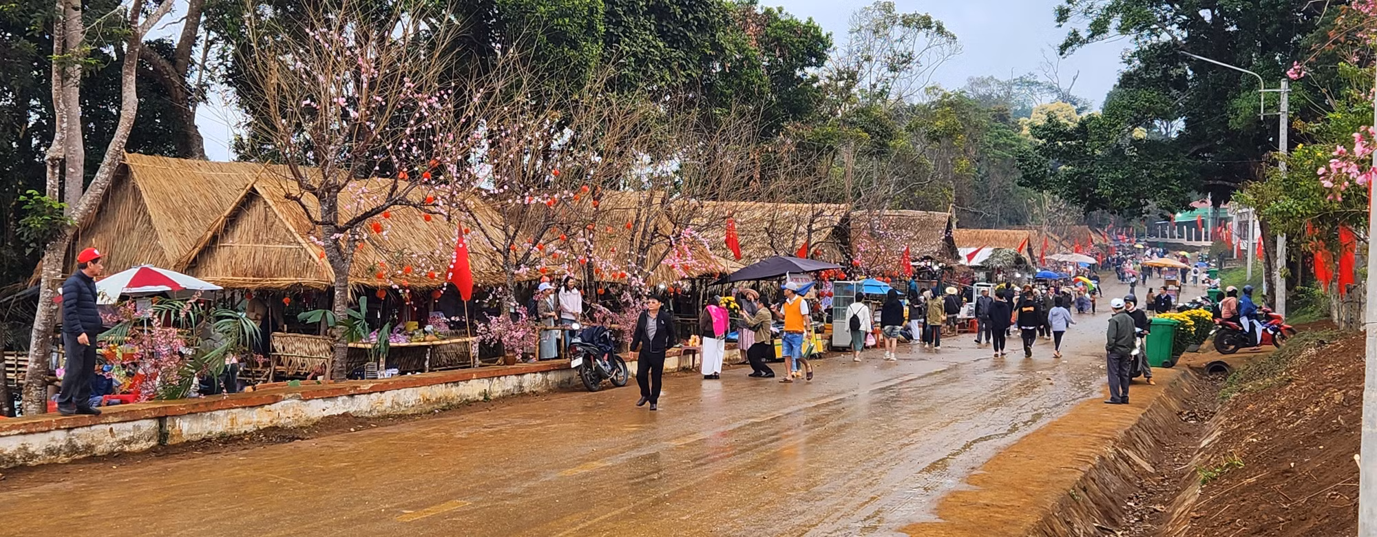 potal-le-hoi-hoa-dao-o-binh-dinh-7846504.jpg