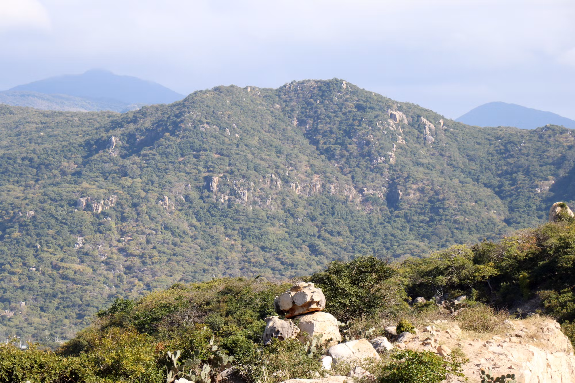 potal-ninh-thuan-uu-tien-bao-ton-da-dang-sinh-hoc-7953556.jpg