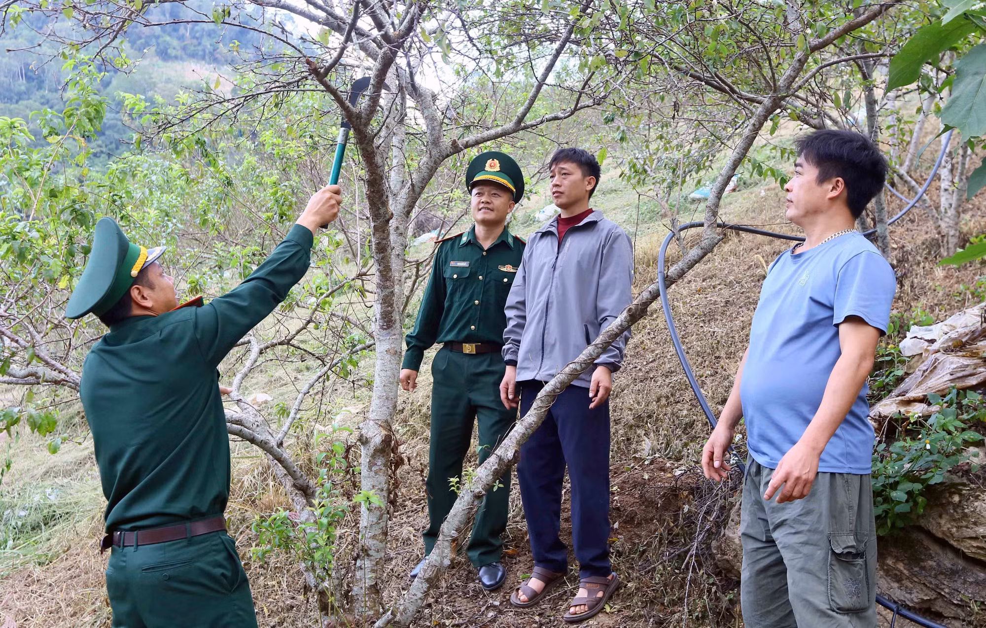 potal-bo-doi-bien-phong-son-la-ho-tro-nguoi-dan-vung-bien-thoat-ngheo-7106800.jpg