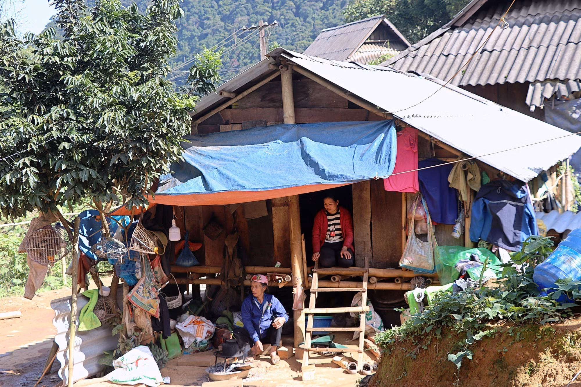 potal-hoa-binh-quyet-tam-hoan-thanh-chuong-trinh-xoa-nha-tam-nha-dot-nat-7775010.jpg