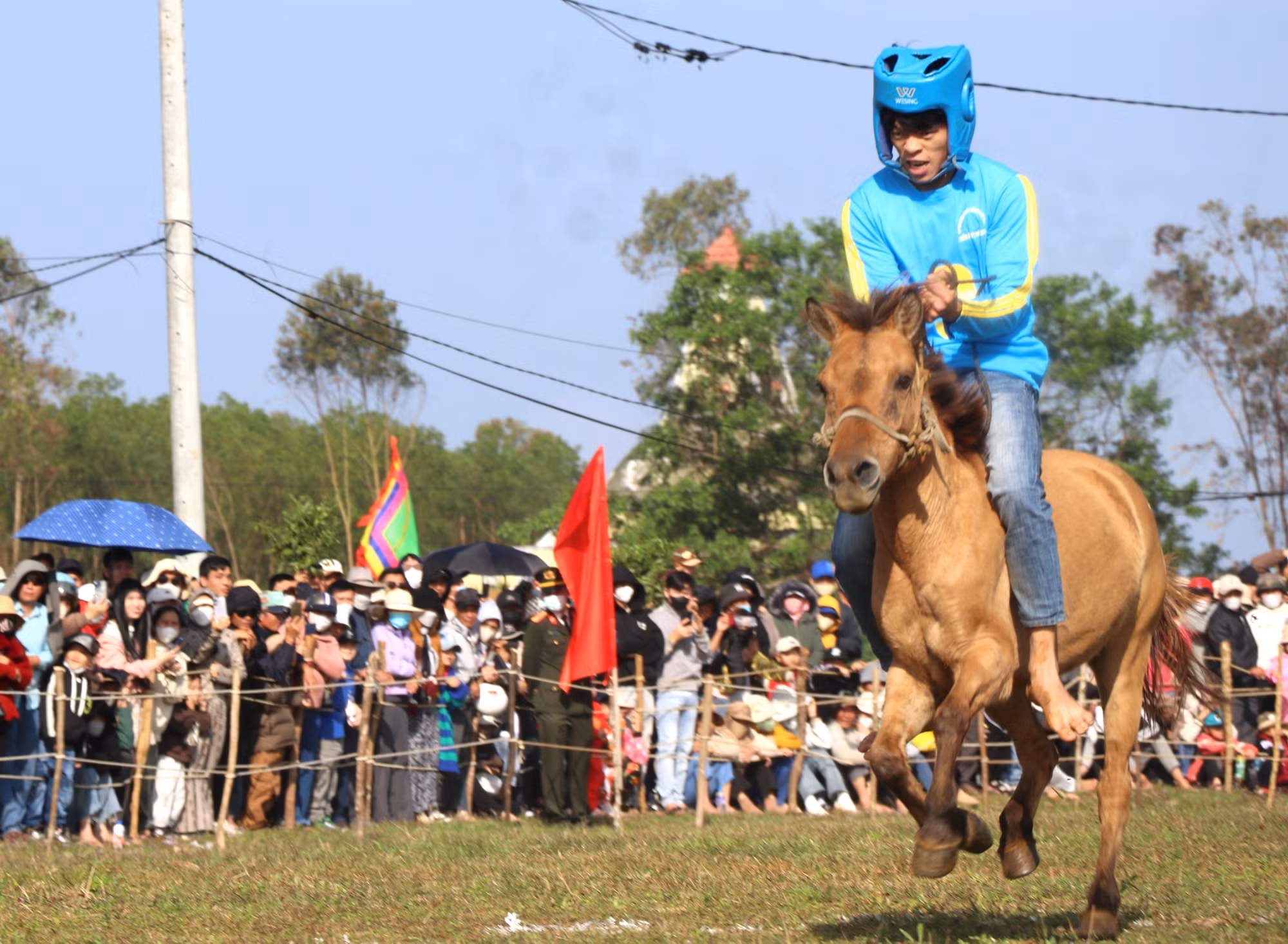 potal-phu-yen-soi-noi-hoi-dua-ngua-truyen-thong-go-thi-thung-nam-2025-7842652.jpg