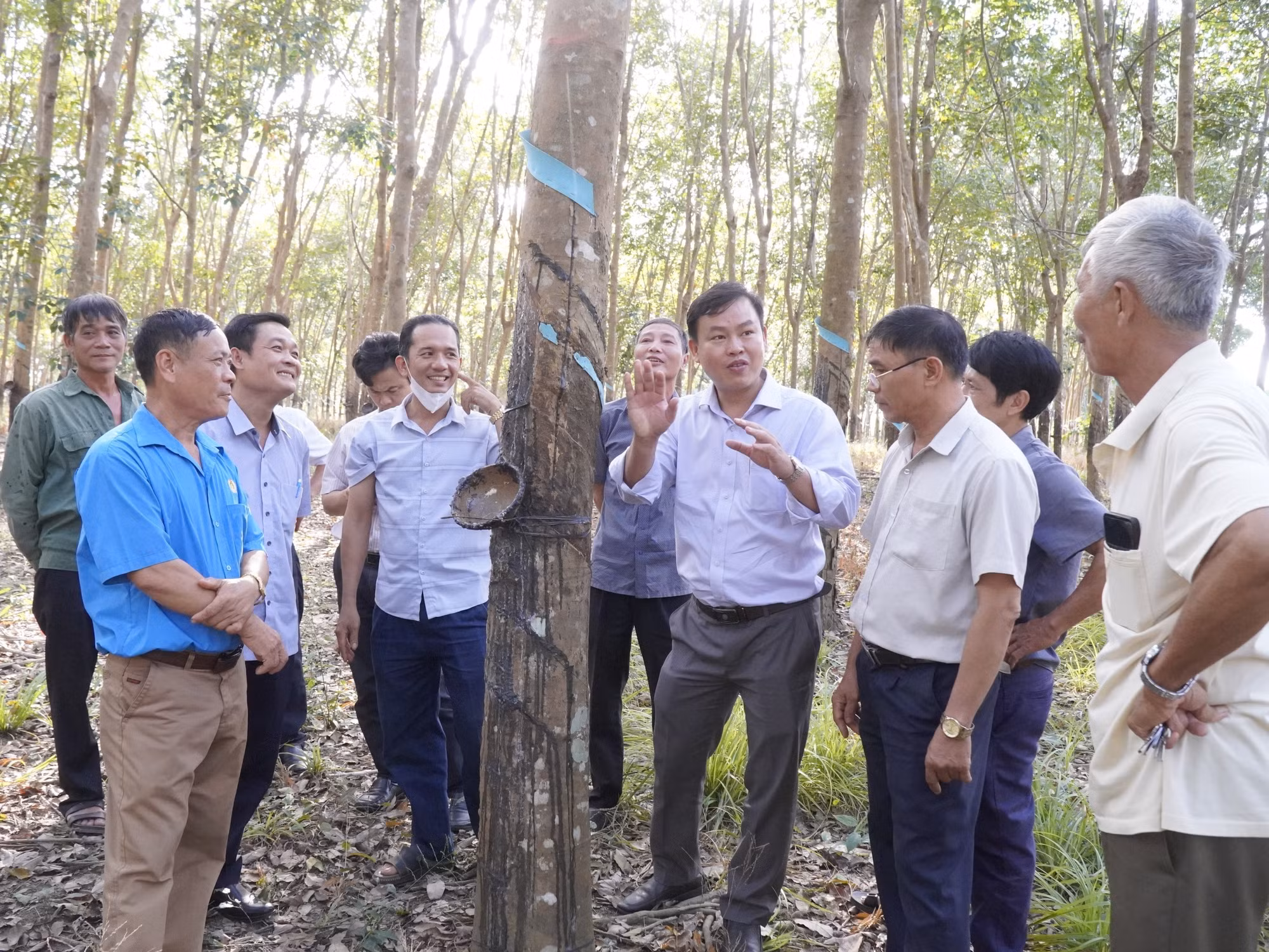 potal-hieu-qua-tu-mo-hinh-san-xuat-cao-su-tieu-dien-ben-vung-tai-binh-phuoc-7767686.jpg