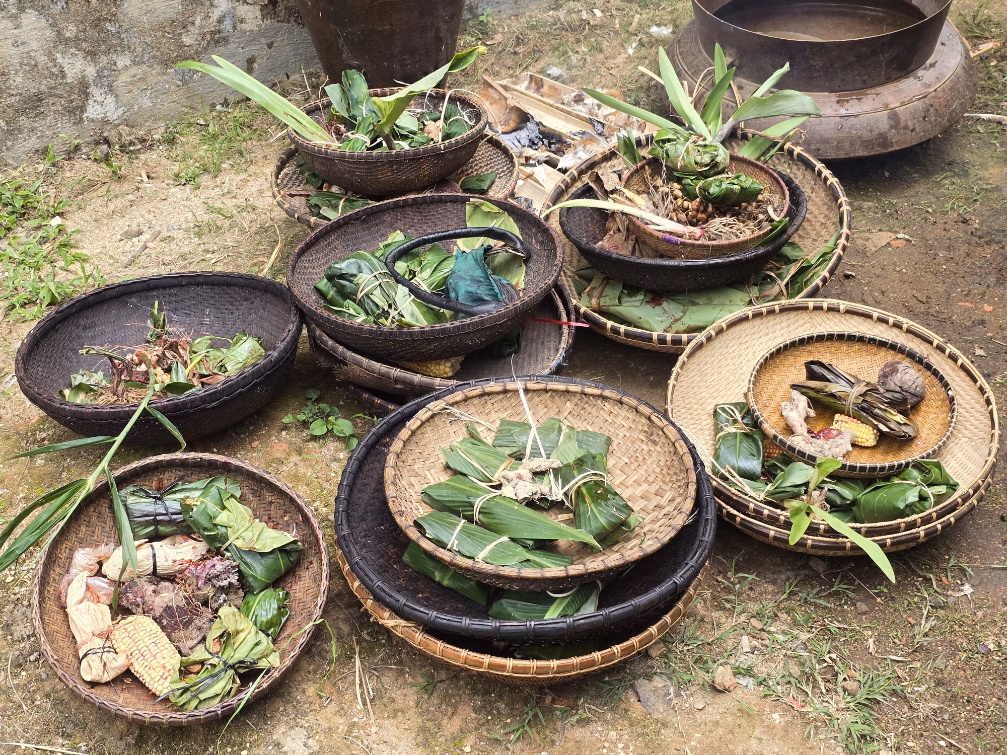 potal-tim-lai-cho-dung-cho-nghe-dan-lat-tai-kon-tum-7823407.jpg