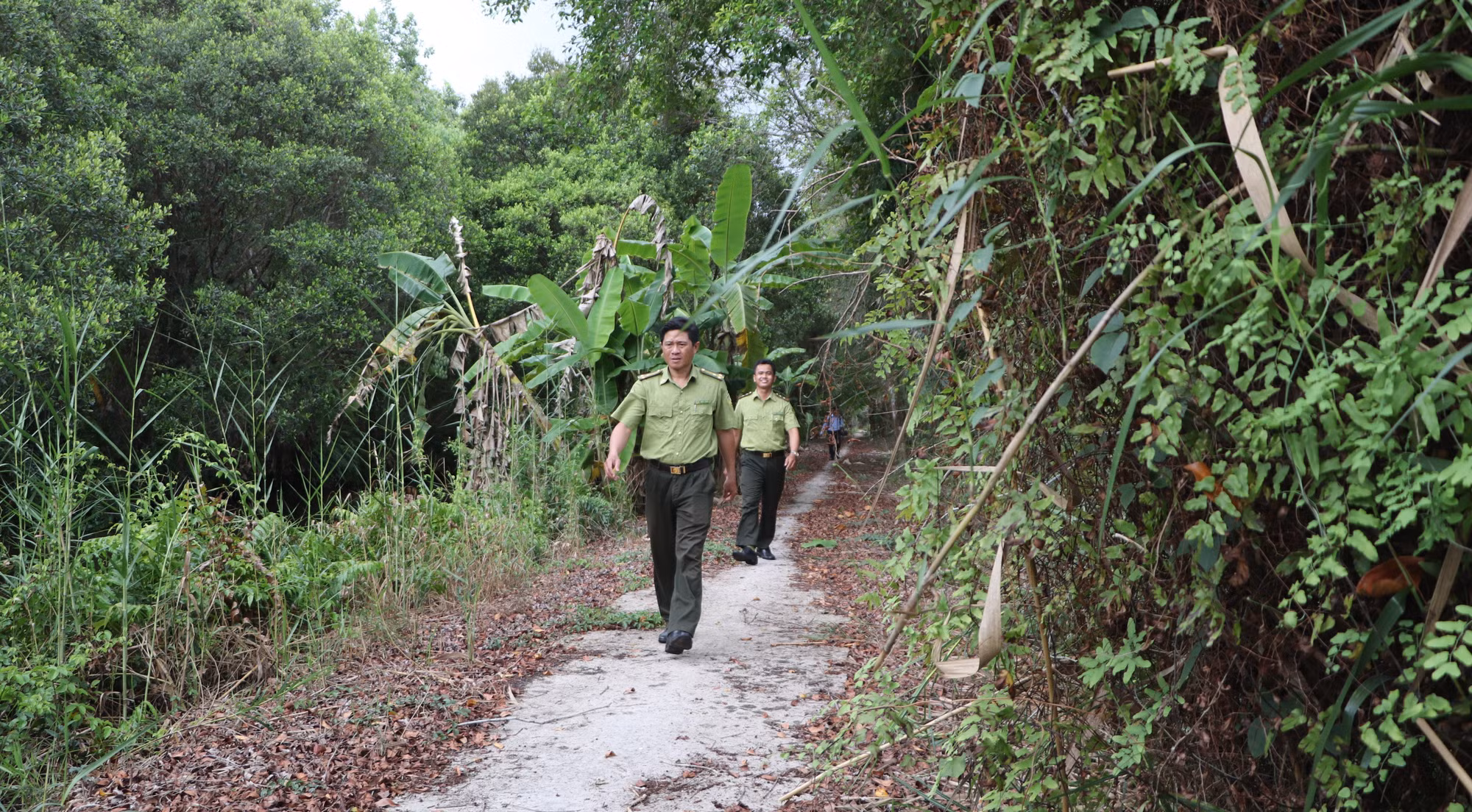 potal-hau-giang-tang-cuong-phong-chay-chua-chay-rung-trong-cao-diem-mua-kho-7999944.jpg