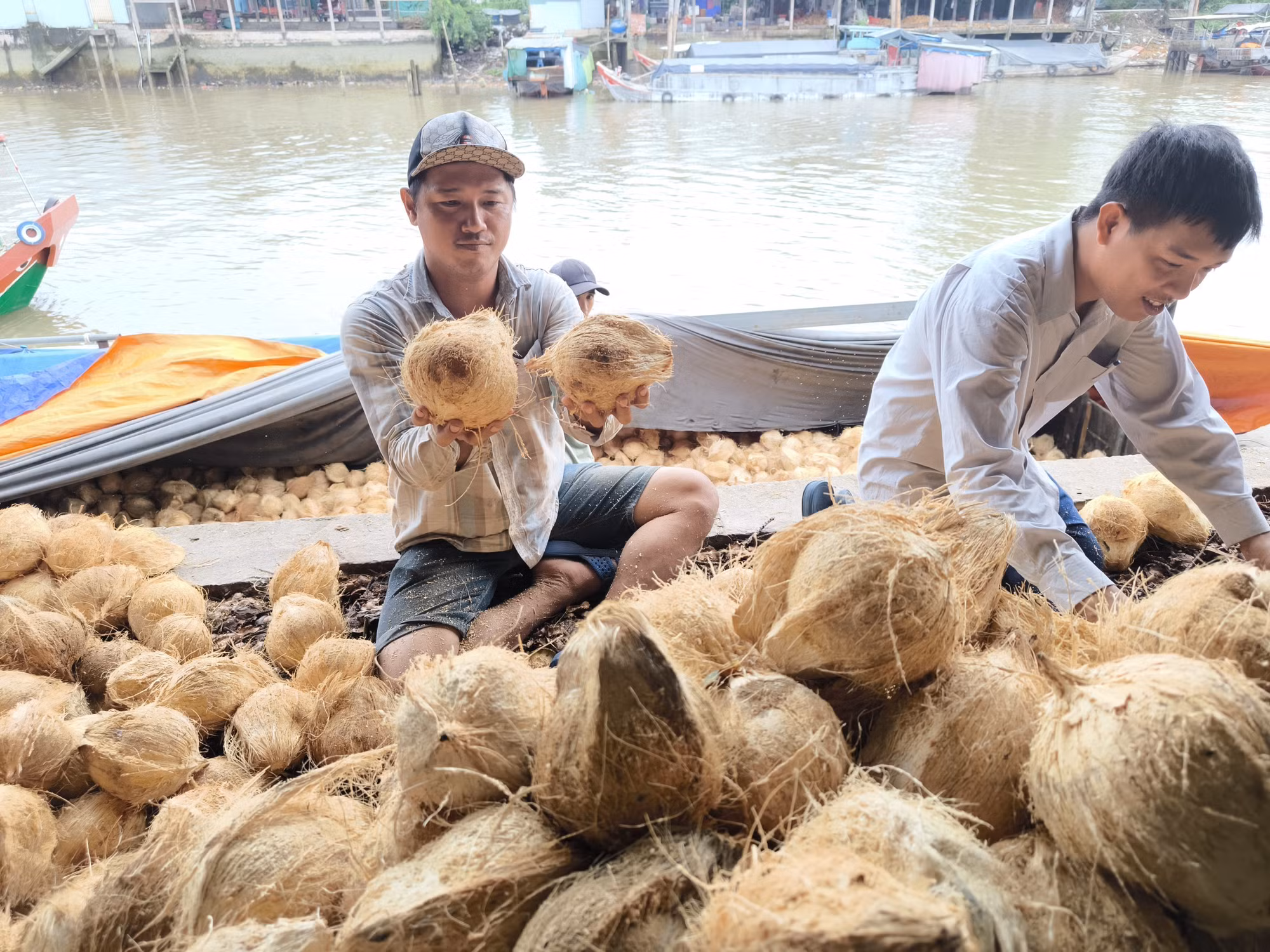 potal-ben-tre-xay-dung-vung-nguyen-lieu-dua-ben-vung-7747750.jpg