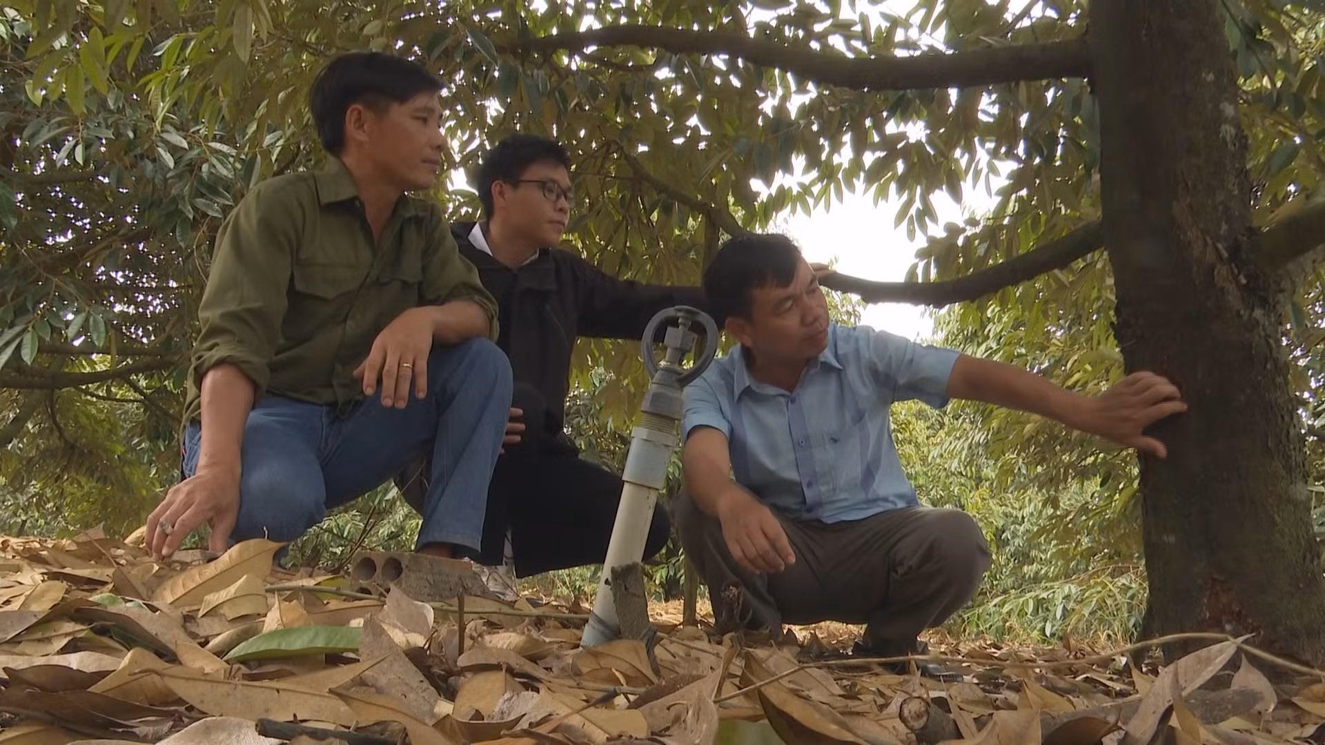 potal-nguoi-dan-binh-phuoc-chu-dong-phong-ngua-sau-benh-cay-sau-rieng-7806282.jpg