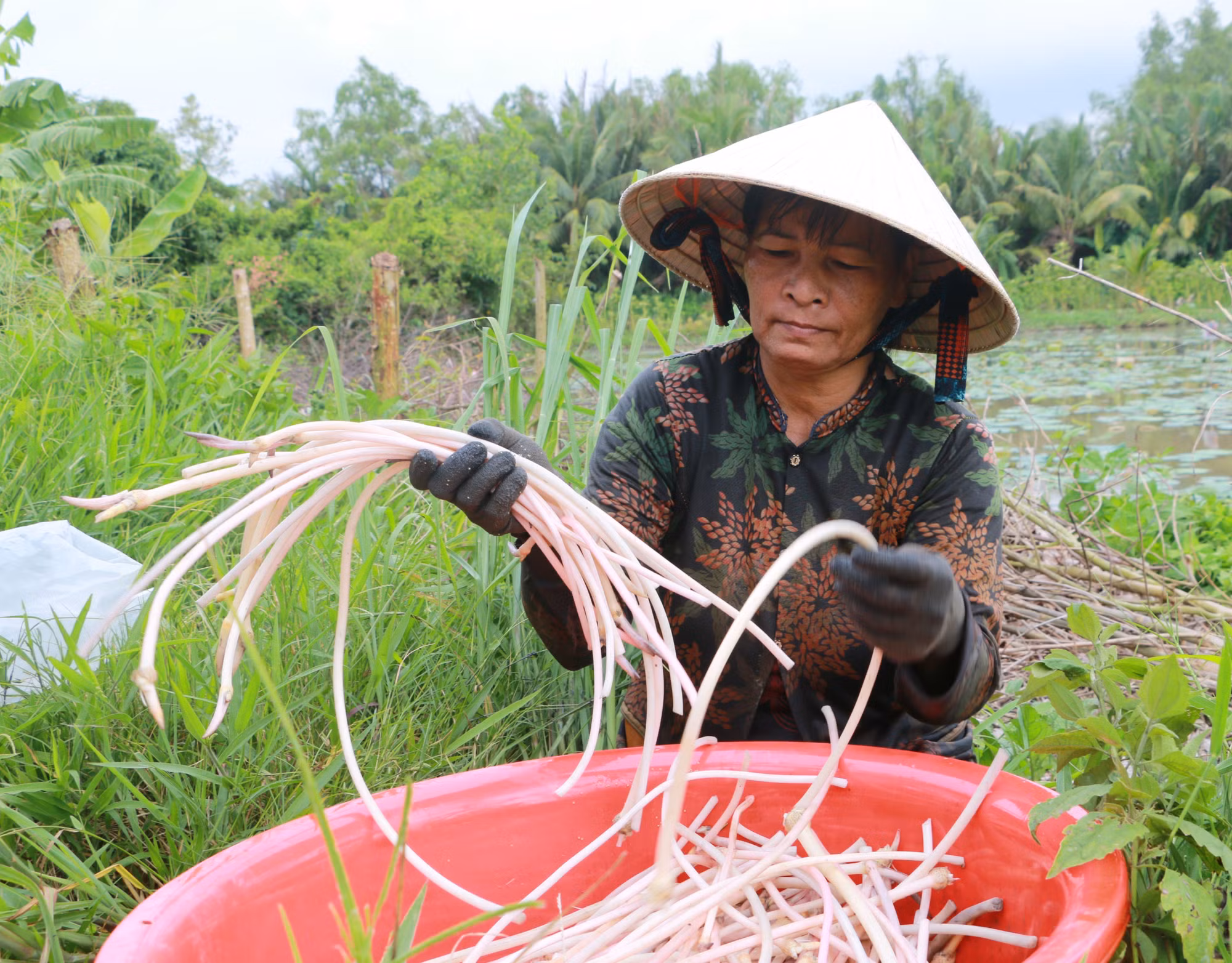 potal-nguon-von-tin-dung-chinh-sach-giup-nhieu-ho-dan-tai-soc-trang-thoat-ngheo-7819042.jpg