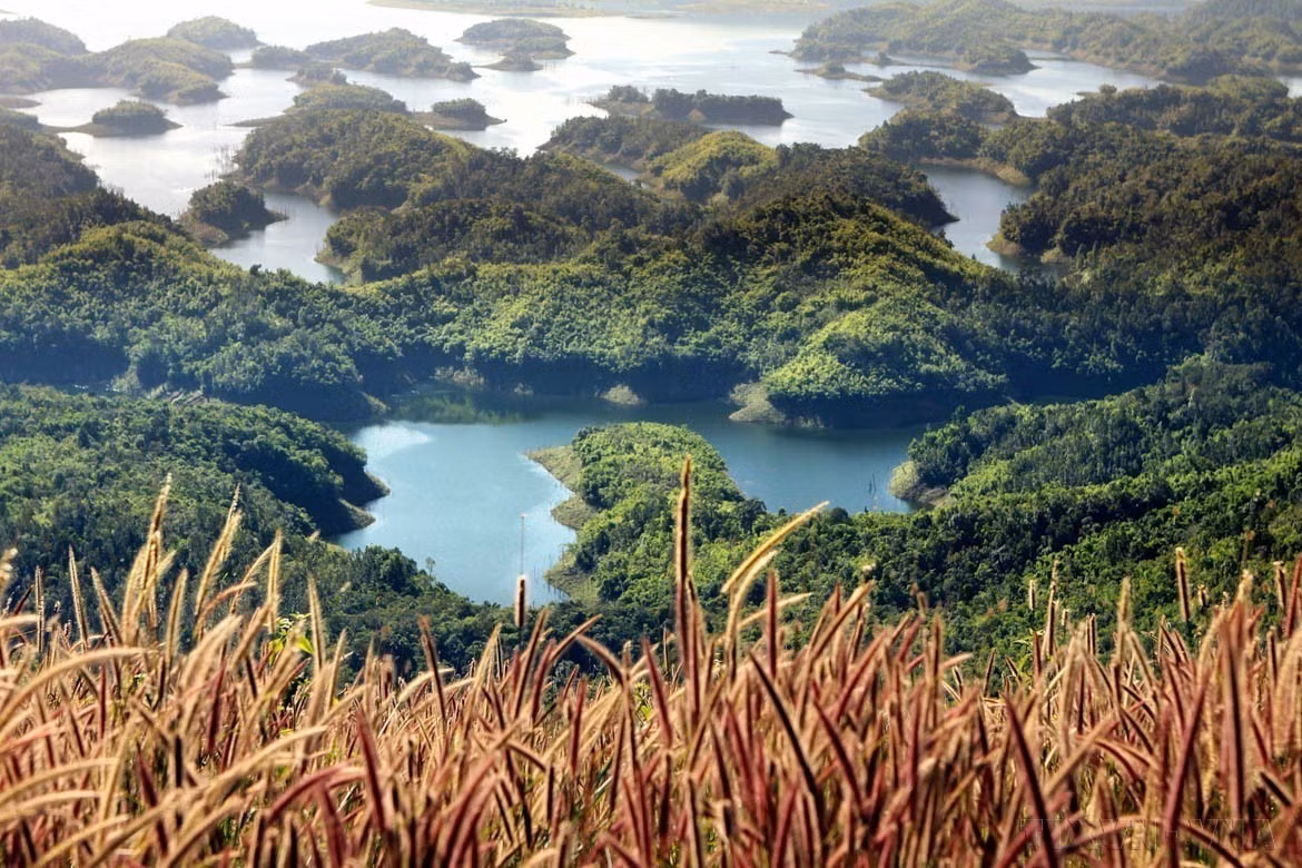potal-50-nam-giai-phong-hoan-toan-mien-nam-thong-nhat-dat-nuoc-dua-tay-nguyen-phat-trien-but-pha-toan-dien-va-ben-vung-7908824.jpg