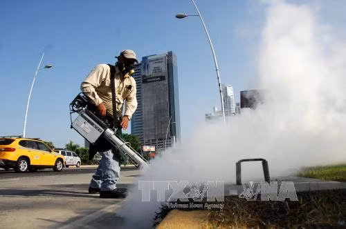 Nam Phi xác nhận ca nhiễm virus Zika đầu tiên ảnh 1