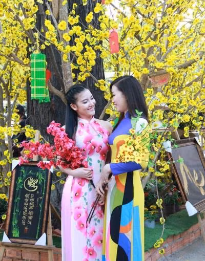 TP Hồ Chí Minh: Nhiều hoạt động tôn vinh áo dài Việt Nam ảnh 1