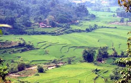 Ruộng bậc thang mang về no ấm ảnh 1