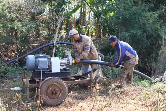 Đắk Lắk tập trung tưới nước cho cây cà phê ảnh 7
