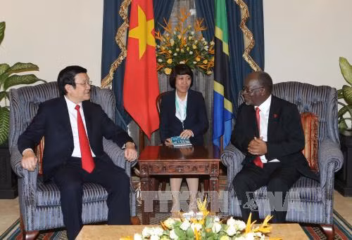 Chủ tịch nước Trương Tấn Sang hội đàm với Tổng thống Tanzania ảnh 1