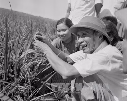 Những hình ảnh quý báu về Thủ tướng Phạm Văn Đồng ảnh 5