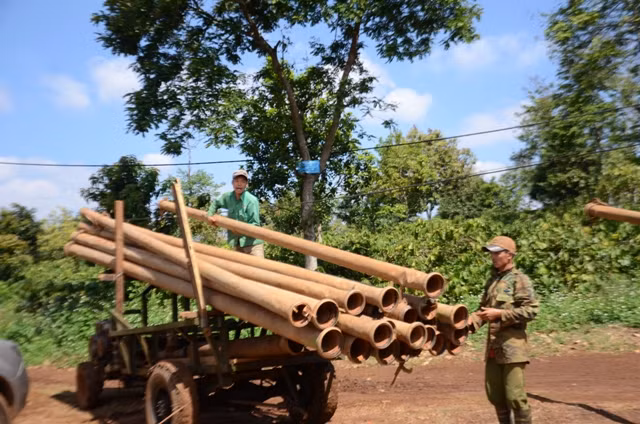 Tây Nguyên gồng mình chống hạn ảnh 2