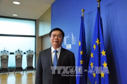 Hướng tới mục tiêu áp dụng FTA Việt Nam-EU vào 2018 ảnh 1