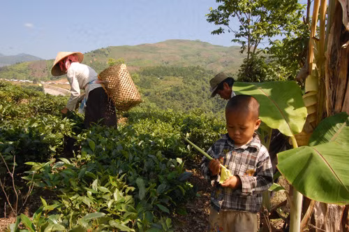 Thiếu sân chơi cho trẻ em vùng cao ảnh 2