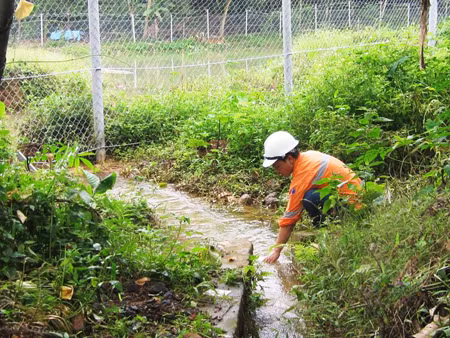 Một doanh nghiệp trách nhiệm cao với cộng đồng và môi trường ảnh 1