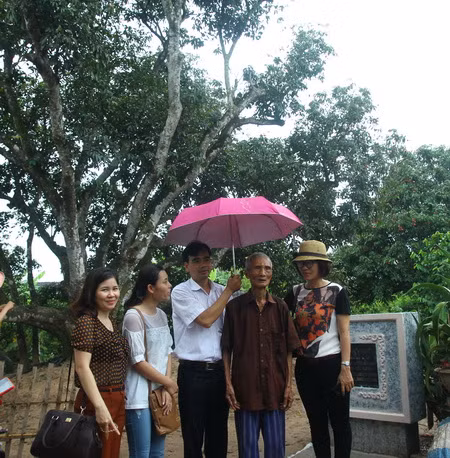 Về thăm cây vải tổ Thanh Hà ảnh 4