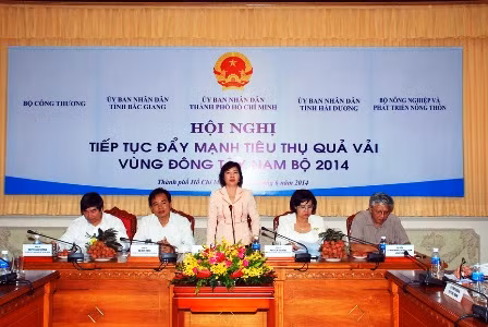 TP Hồ Chí Minh có sức mua 45.000 tấn vải quả ảnh 1
