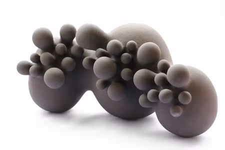 Cuộc thử nghiệm của điêu khắc gốm ảnh 4