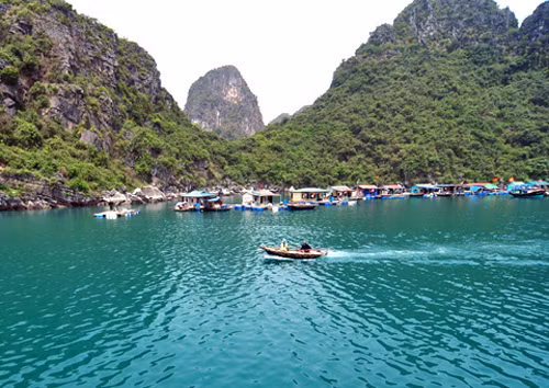 Bảo đảm toàn vẹn cho vịnh Hạ Long ảnh 1