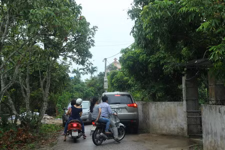 Về thăm cây vải tổ Thanh Hà ảnh 1