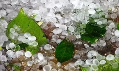Mưa đá gây thiệt hại ở Hà Giang ảnh 1