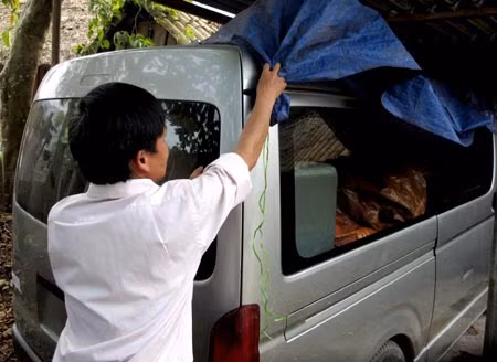 Công an, giáo viên chuyển gỗ lậu ảnh 1