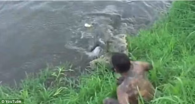 Suýt mất mạng vì chụp ảnh cá sấu ảnh 2