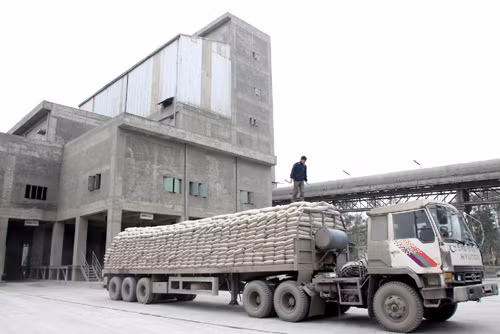 Vật liệu xây dựng tìm cách vượt khủng hoảng thừa ảnh 1
