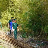 Dựng 'vành đai xanh' nơi phên giậu Tổ quốc
