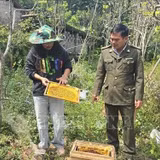 Gây dựng sinh kế xanh dưới tán rừng Hoàng Liên
