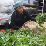 Nông nghiệp '3 không' giúp kinh tế vùng cao đổi thay