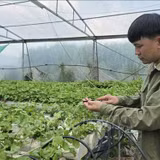 Nông dân tự tin chuẩn hóa thương hiệu cho nông sản
